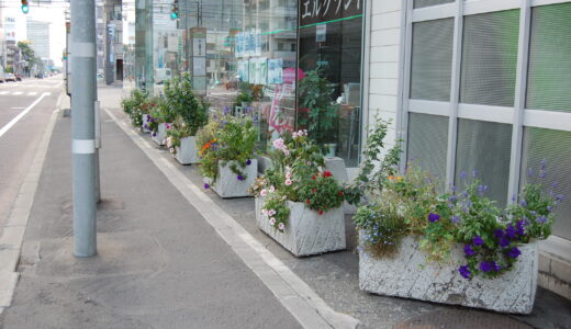 グラスファイバー系素材のプランターの末路